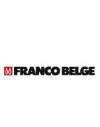 Vitre d'insert et poele sur mesure marque Franco Belge